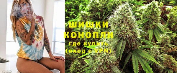 эйфоретик Белокуриха