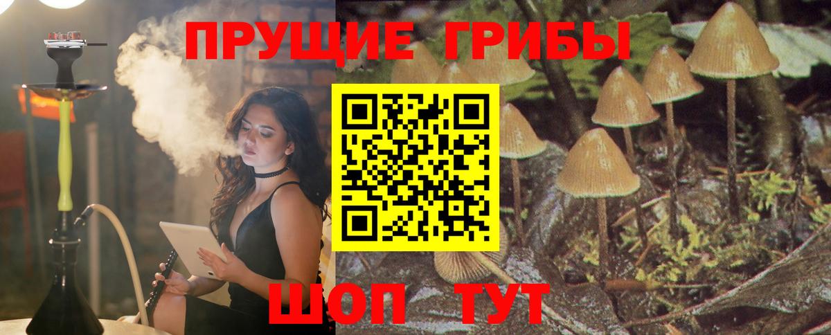 наркошоп  Вход с VPN  Свободный  Галлюциногенные грибы Magic Shrooms 
