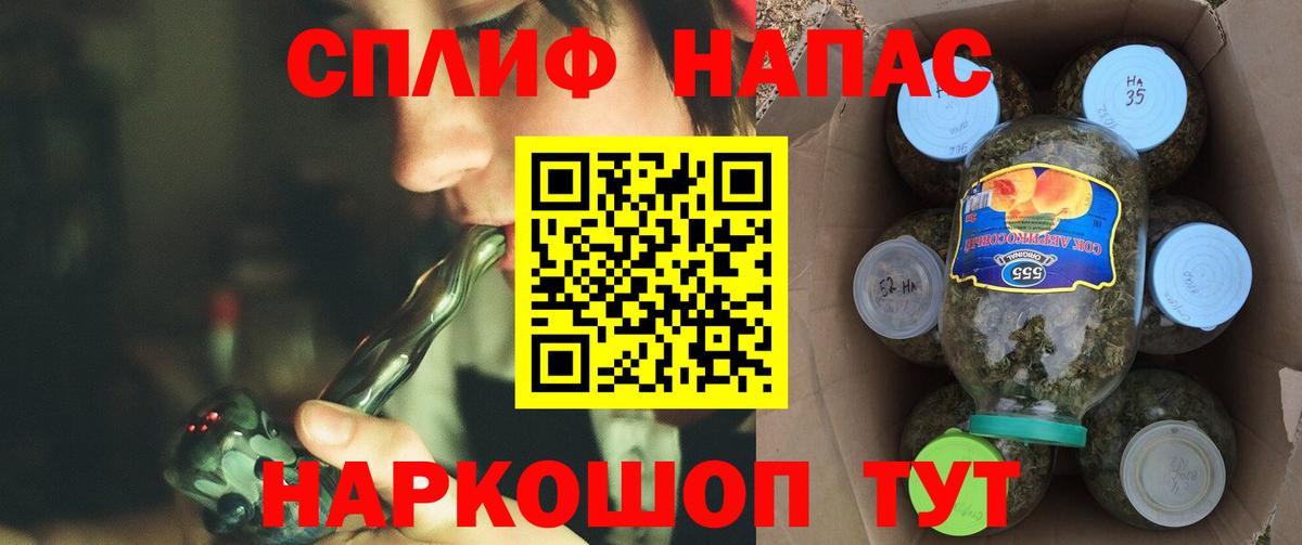 Бошки Шишки планчик  Вход с VPN  Свободный  Бошки марихуана планчик  Шишки марихуана сатива  Канабис гибрид 
